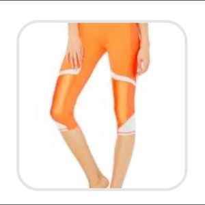 Alo yoga pants